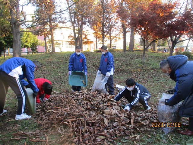 20201208satoyama016.JPG