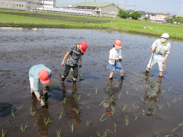 20220524taue049.jpg