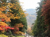 R61112nikko6.jpg